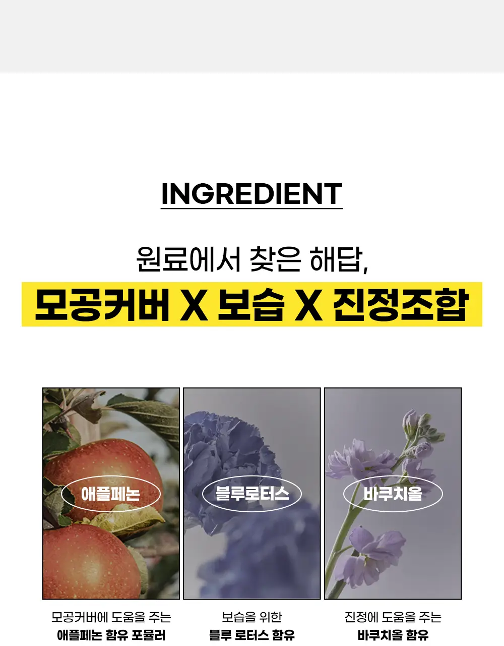 [화잘먹/베이스프렙] 코드글로컬러 픽스온 프라이머 하이드로 30ml 상세페이지 20